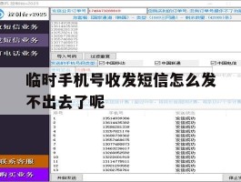 临时手机号收发短信怎么发不出去了呢