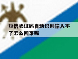 短信验证码自动识别输入不了怎么回事呢