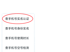 中国虚拟手机号验证码是多少号的