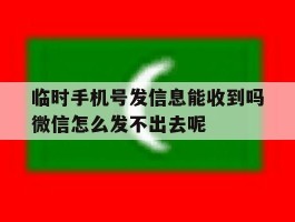 关于临时手机号发信息能收到吗微信怎么发不出去呢的信息