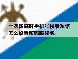 关于一次性临时手机号接收短信怎么设置密码呢视频的信息