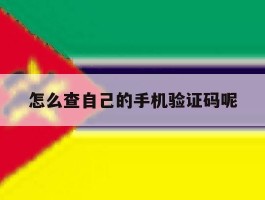 怎么查自己的手机验证码呢
