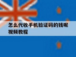 怎么代收手机验证码的钱呢视频教程