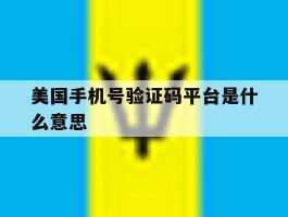 美国手机号验证码平台是什么意思