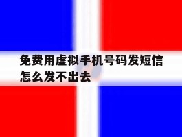 免费用虚拟手机号码发短信怎么发不出去