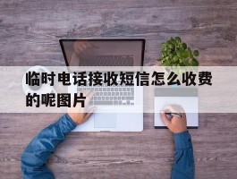 临时电话接收短信怎么收费的呢图片