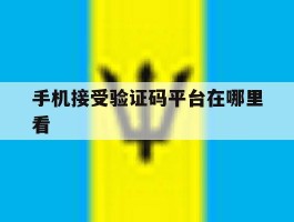 手机接受验证码平台在哪里看
