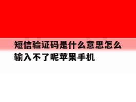 短信验证码是什么意思怎么输入不了呢苹果手机的简单介绍