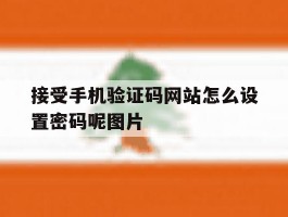 接受手机验证码网站怎么设置密码呢图片的简单介绍
