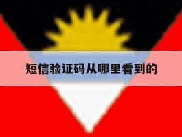 短信验证码从哪里看到的