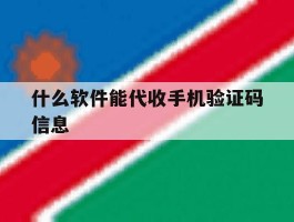 什么软件能代收手机验证码信息
