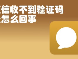 美国临时短信验证码是什么样的