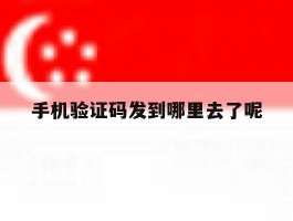 手机验证码发到哪里去了呢