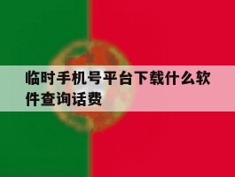 临时手机号平台下载什么软件查询话费