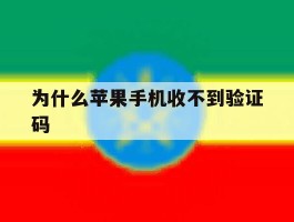 为什么苹果手机收不到验证码