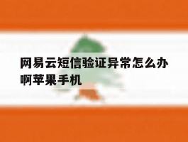 包含网易云短信验证异常怎么办啊苹果手机的词条