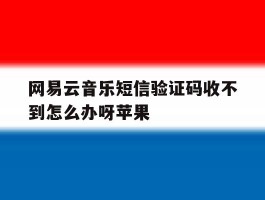 网易云音乐短信验证码收不到怎么办呀苹果
