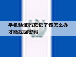 手机验证码忘记了该怎么办才能找回密码