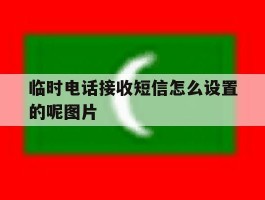 临时电话接收短信怎么设置的呢图片