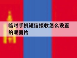 关于临时手机短信接收怎么设置的呢图片的信息