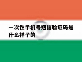 一次性手机号短信验证码是什么样子的
