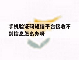 手机验证码短信平台接收不到信息怎么办呀的简单介绍