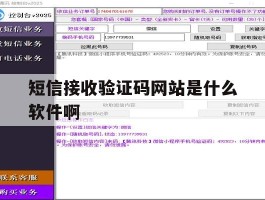 短信接收验证码网站是什么软件啊