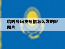 临时号码发短信怎么发的呢图片