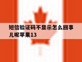 短信验证码不显示怎么回事儿呢苹果13