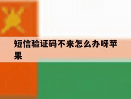 短信验证码不来怎么办呀苹果