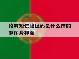 临时短信验证码是什么样的啊图片视频