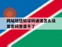 关于网站短信验证码通道怎么设置密码登录不了的信息