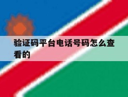 验证码平台电话号码怎么查看的