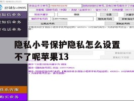 隐私小号保护隐私怎么设置不了呢苹果13