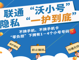 包含隐私小号怎么拨打电话呢视频教程下载软件的词条