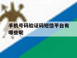 手机号码验证码短信平台有哪些呢
