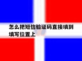怎么把短信验证码直接填到填写位置上