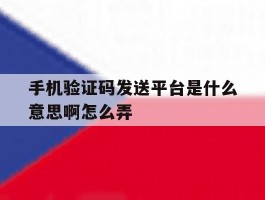 手机验证码发送平台是什么意思啊怎么弄