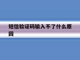 短信验证码输入不了什么原因