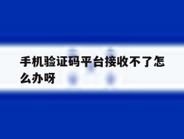 手机验证码平台接收不了怎么办呀