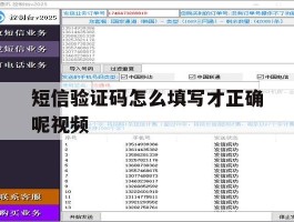 短信验证码怎么填写才正确呢视频