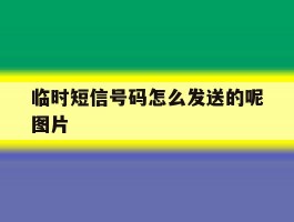 临时短信号码怎么发送的呢图片