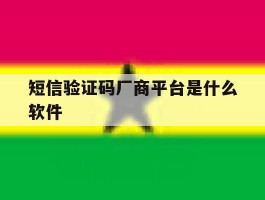 短信验证码厂商平台是什么软件