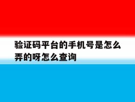包含验证码平台的手机号是怎么弄的呀怎么查询的词条