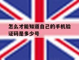 怎么才能知道自己的手机验证码是多少号