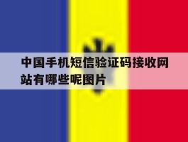 关于中国手机短信验证码接收网站有哪些呢图片的信息