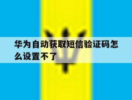 华为自动获取短信验证码怎么设置不了