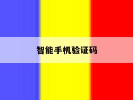 智能手机验证码