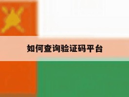 如何查询验证码平台