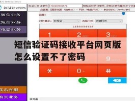 短信验证码接收平台网页版怎么设置不了密码